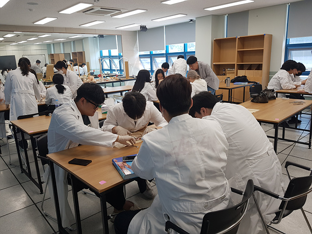 해부학실습